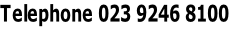 Telephone 023 9246 8100
